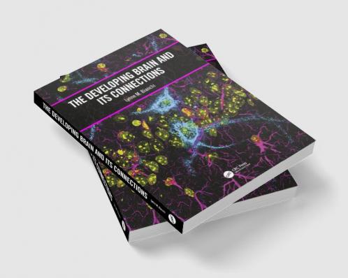Developing Brain and its Connections