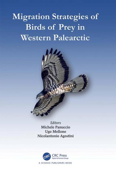 Migration Strategies of Birds of Prey in Western Palearctic