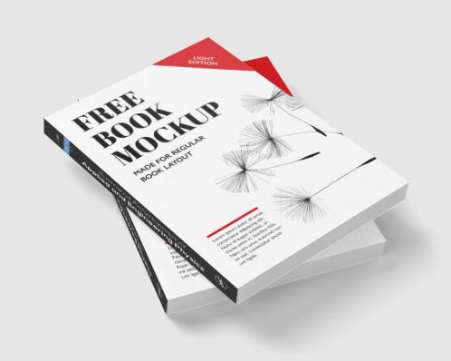 Illustrated Encyclopedia of Applied and Engineering Physics Volume Two (H-O)