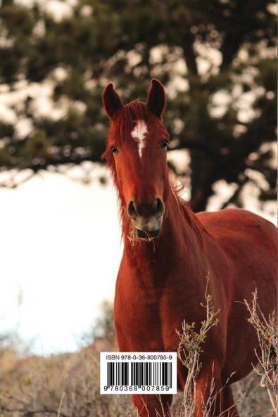 Kid's Equine Photography Book