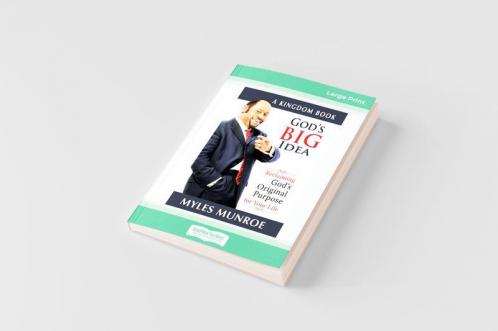 God's Big Idea Tradepaper