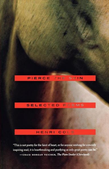 Pierce the Skin: Selected Poems 1982-2007