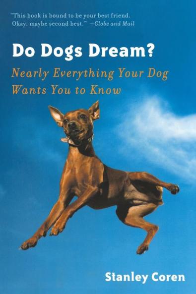 Do Dogs Dream?