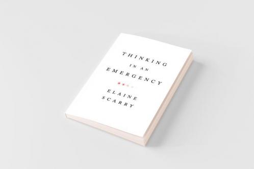 Thinking in an Emergency