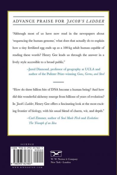 Jacob's Ladder
