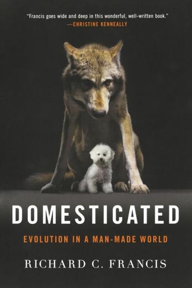 Domesticated