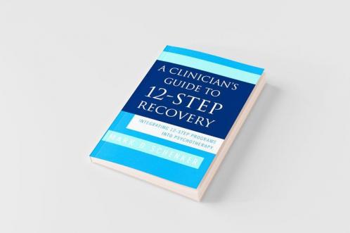 A Clinician's Guide to 12-Step Recovery