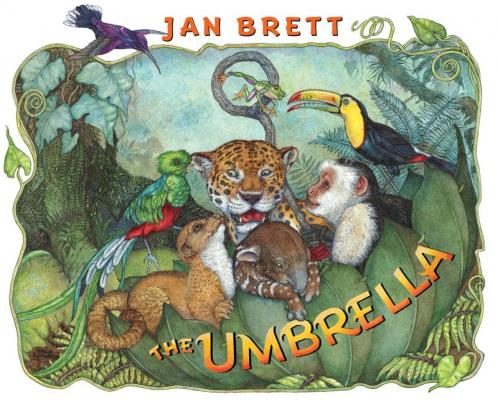 Umbrella
