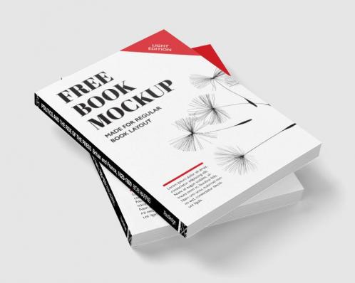 Politics and the Rise of the Press