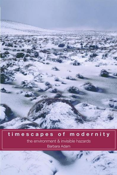 Timescapes of Modernity