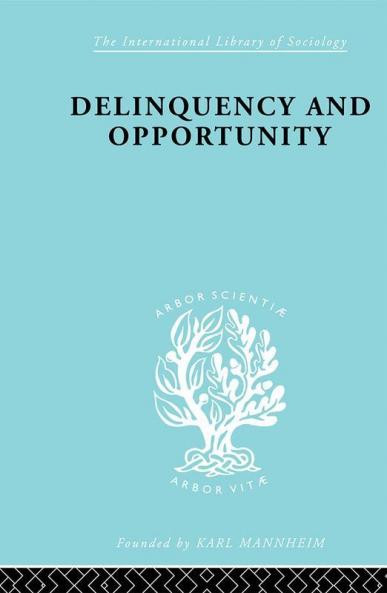 Delinquency and Opportunity