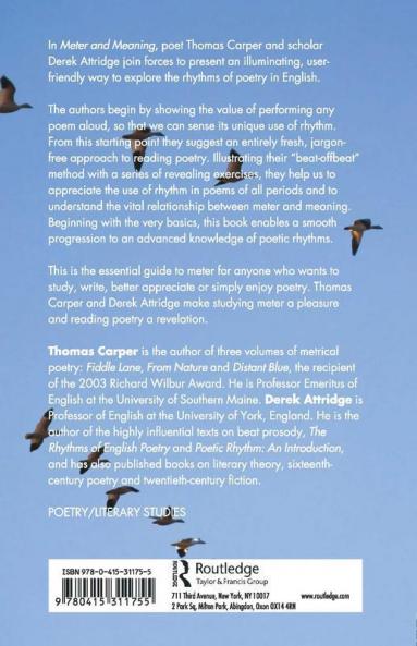Meter and Meaning