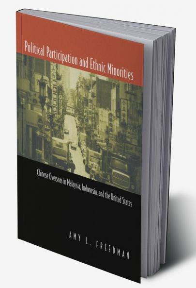Political Participation and Ethnic Minorities