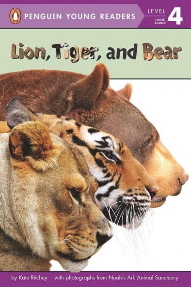 Lion Tiger and Bear