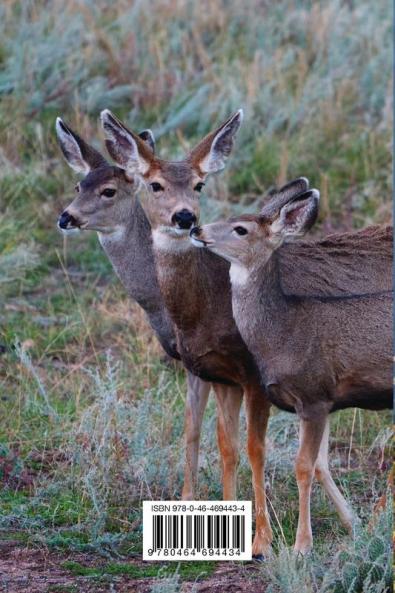 Kids Deer Journal
