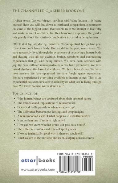 What Is Really Going On?: 21 Key Spiritual Questions Answered By Spirit Guides Who Tell It How It Is (Channelled Q+a)