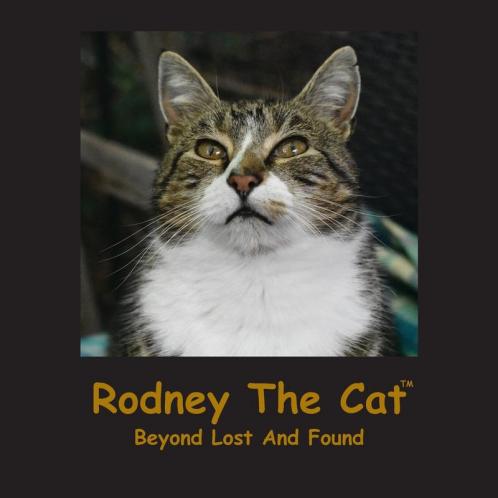 Rodney The Cat Beyond Lost And Found