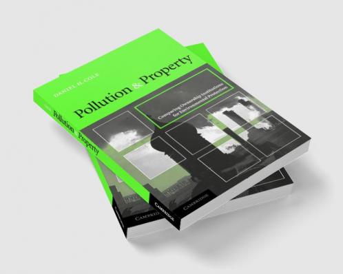 Pollution and Property