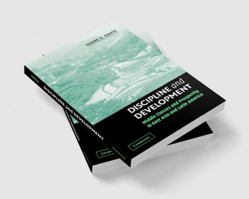 Discipline and Development