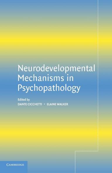 Neurodevelopmental Mechanisms in             Psychopathology