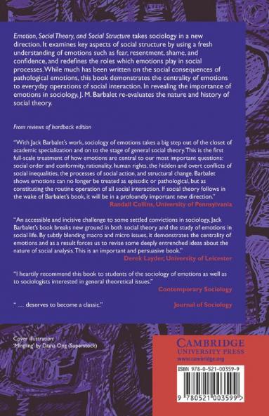 Emotion Social Theory and Social Structure