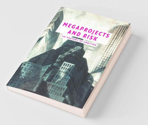Megaprojects and Risk