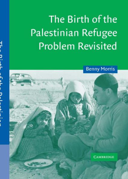 The Birth of the Palestinian Refugee Problem Revisited