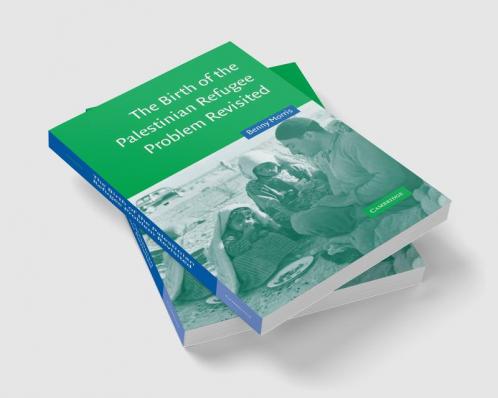 The Birth of the Palestinian Refugee Problem Revisited