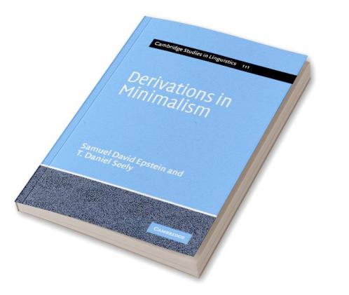 Derivations in Minimalism