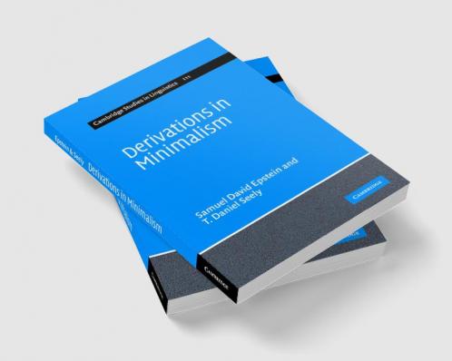 Derivations in Minimalism
