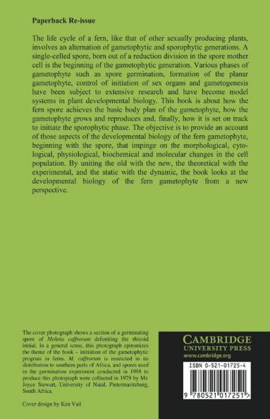 Developmental Biology of Fern Gametophytes