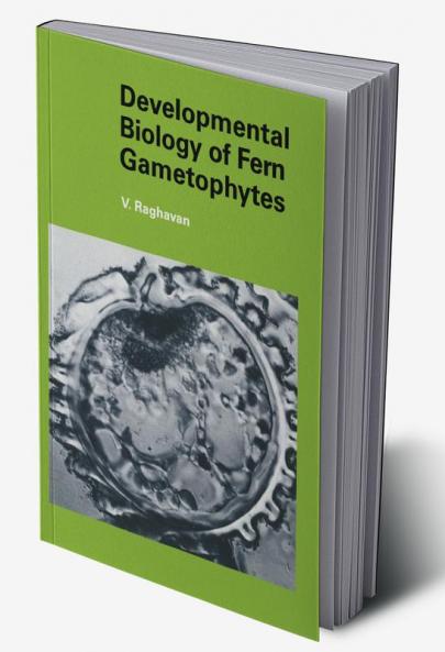 Developmental Biology of Fern Gametophytes