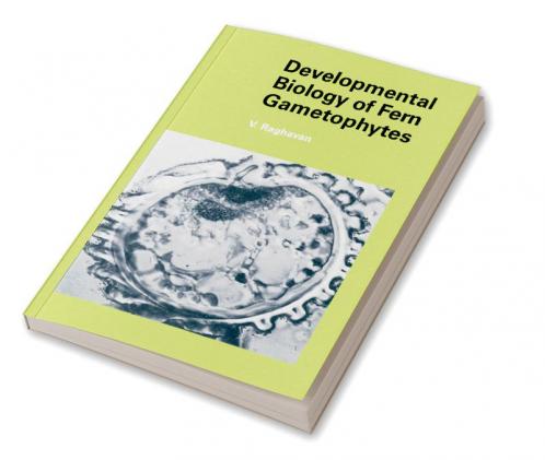 Developmental Biology of Fern Gametophytes
