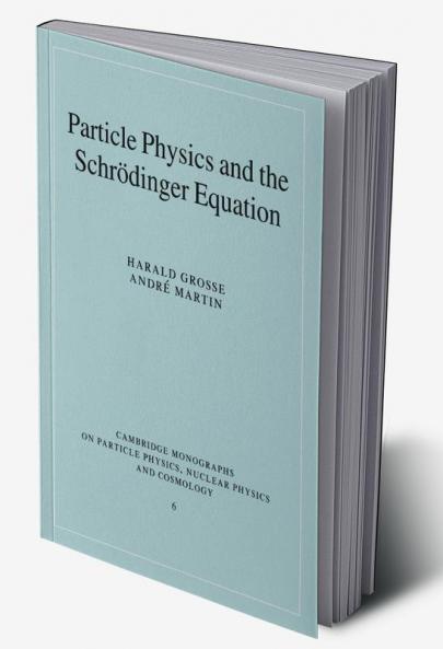 Particle Physics and the Schr Dinger Equation