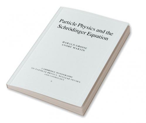 Particle Physics and the Schr Dinger Equation