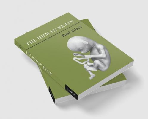 The Human Brain