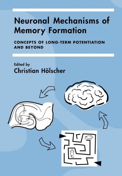 Neuronal Mechanisms of Memory Formation