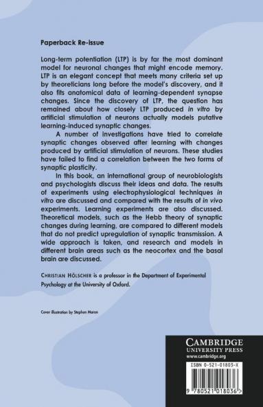 Neuronal Mechanisms of Memory Formation