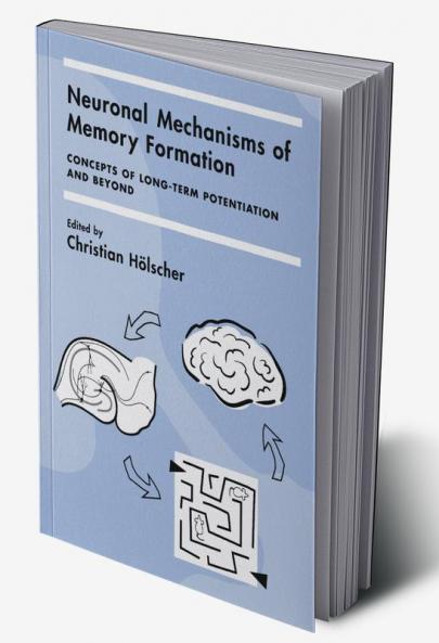 Neuronal Mechanisms of Memory Formation