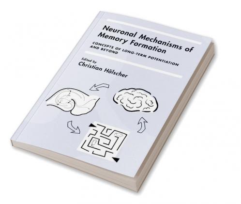 Neuronal Mechanisms of Memory Formation