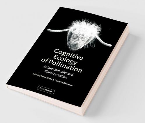Cognitive Ecology of Pollination