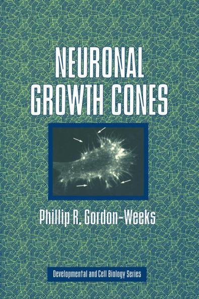 Neuronal Growth Cones