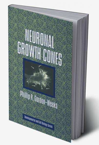 Neuronal Growth Cones