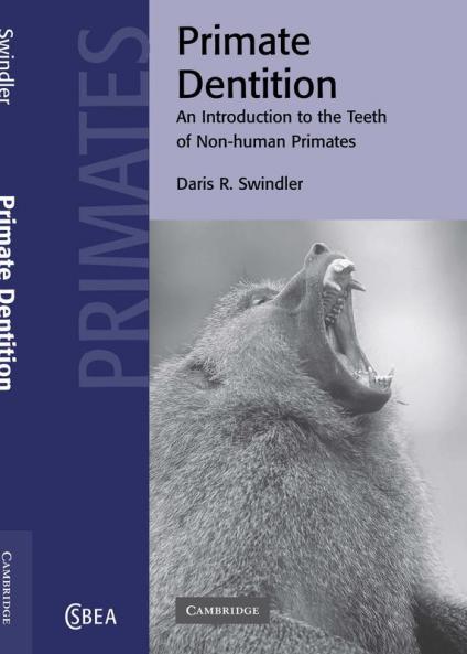 Primate Dentition