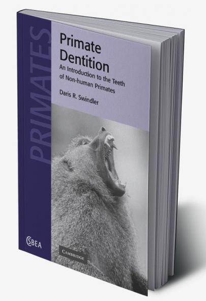 Primate Dentition