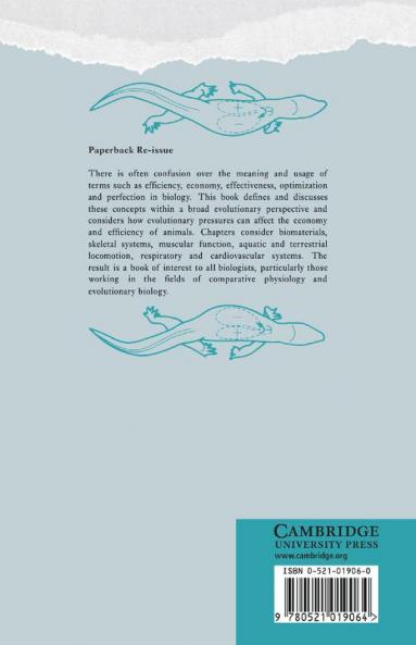 Efficiency and Economy in Animal Physiology