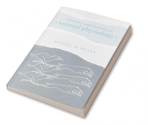 Efficiency and Economy in Animal Physiology