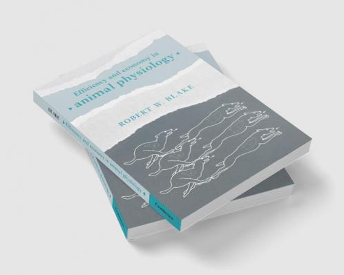 Efficiency and Economy in Animal Physiology