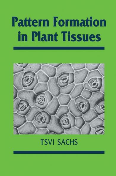 Pattern Formation in Plant Tissues
