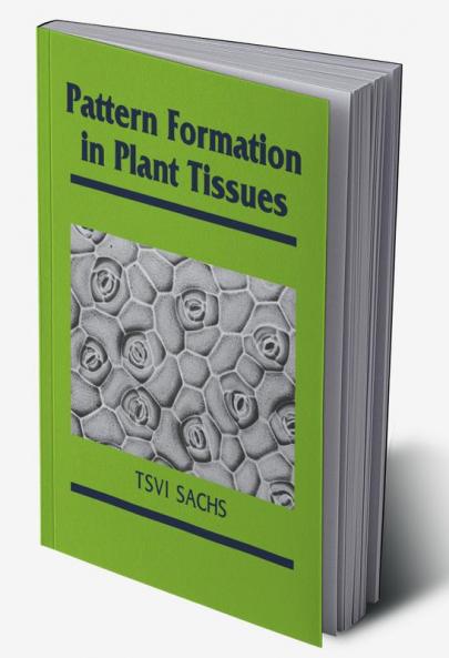 Pattern Formation in Plant Tissues